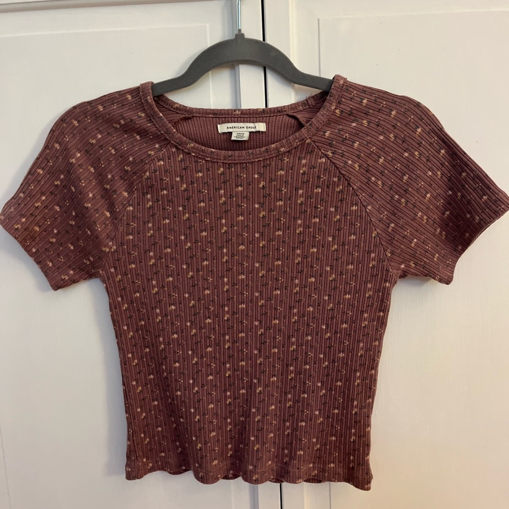 American Eagle Flower Cropped Baby Tee